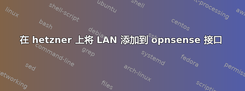 在 hetzner 上将 LAN 添加到 opnsense 接口