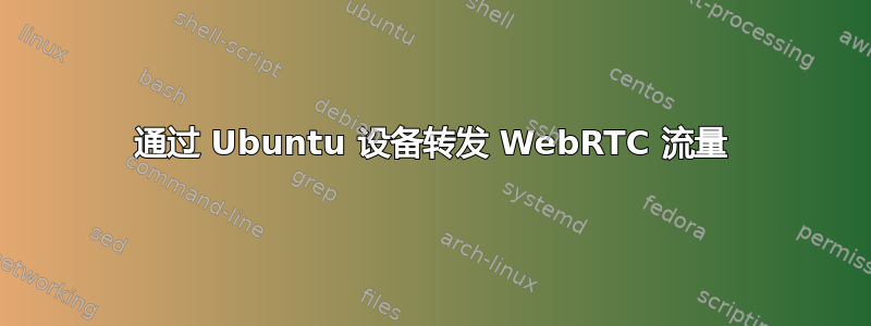 通过 Ubuntu 设备转发 WebRTC 流量