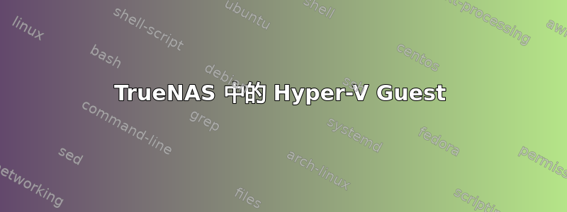 TrueNAS 中的 Hyper-V Guest