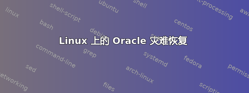 Linux 上的 Oracle 灾难恢复