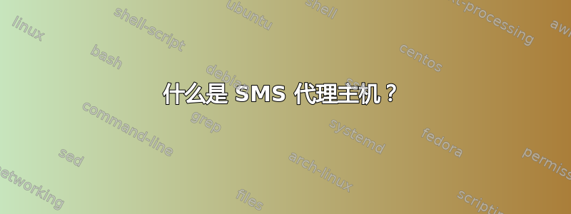 什么是 SMS 代理主机？