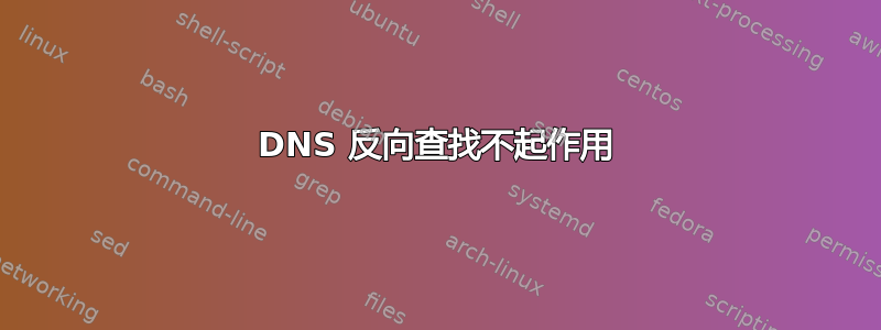 DNS 反向查找不起作用