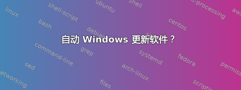 自动 Windows 更新软件？