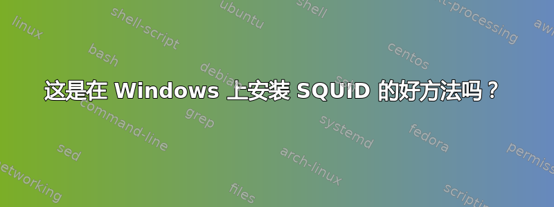 这是在 Windows 上安装 SQUID 的好方法吗？