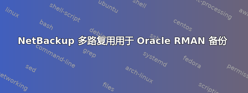 NetBackup 多路复用用于 Oracle RMAN 备份