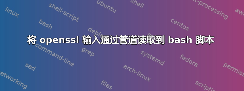 将 openssl 输入通过管道读取到 bash 脚本