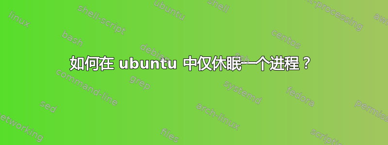 如何在 ubuntu 中仅休眠一个进程？