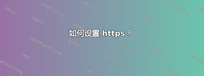 如何设置 https？