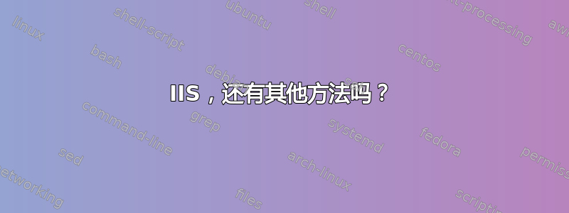 IIS，还有其他方法吗？