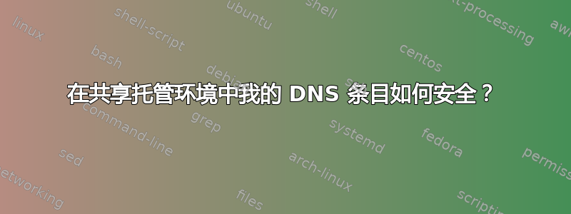 在共享托管环境中我的 DNS 条目如何安全？