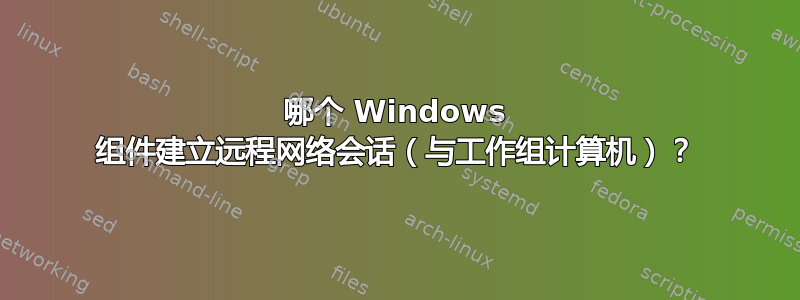 哪个 Windows 组件建立远程网络会话（与工作组计算机）？