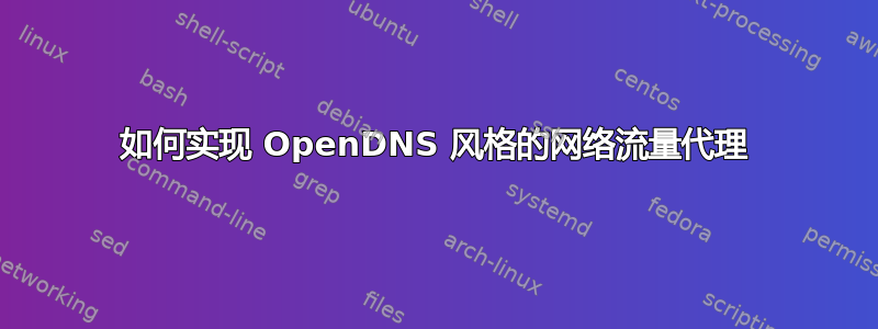 如何实现 OpenDNS 风格的网络流量代理