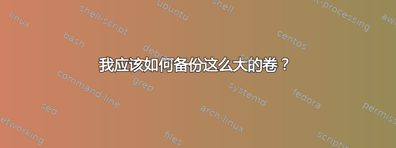 我应该如何备份这么大的卷？