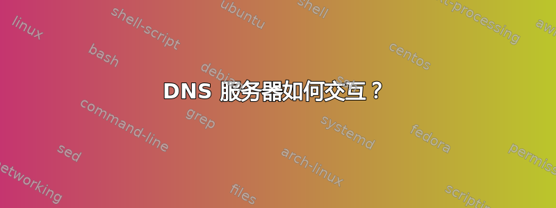 DNS 服务器如何交互？