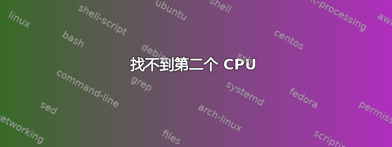 找不到第二个 CPU