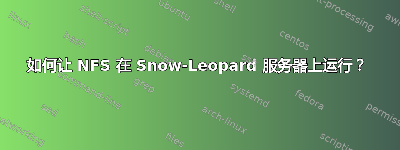 如何让 NFS 在 Snow-Leopard 服务器上运行？