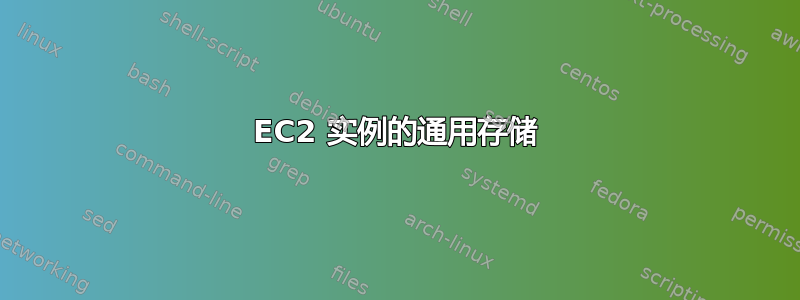 EC2 实例的通用存储