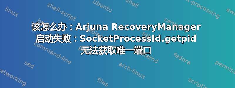 该怎么办：Arjuna RecoveryManager 启动失败：SocketProcessId.getpid 无法获取唯一端口