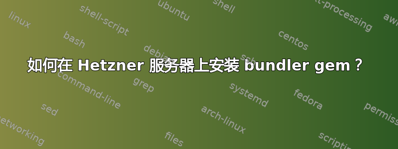 如何在 Hetzner 服务器上安装 bundler gem？