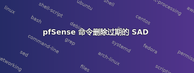 pfSense 命令删除过期的 SAD