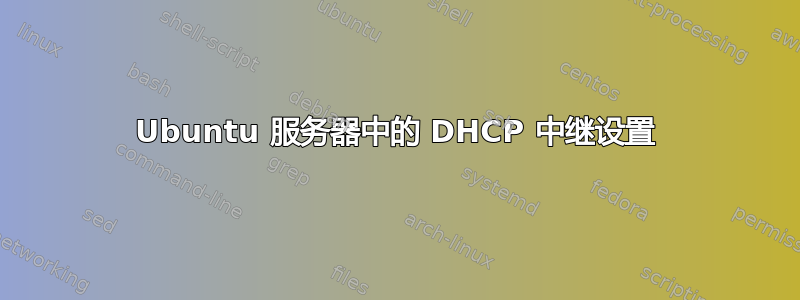 Ubuntu 服务器中的 DHCP 中继设置