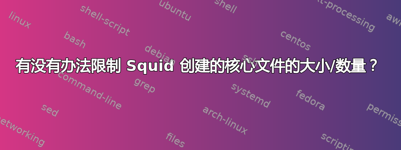 有没有办法限制 Squid 创建的核心文件的大小/数量？