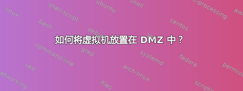 如何将虚拟机放置在 DMZ 中？