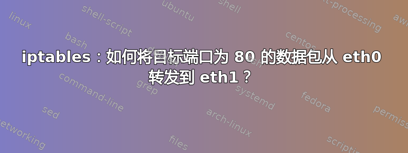 iptables：如何将目标端口为 80 的数据包从 eth0 转发到 eth1？