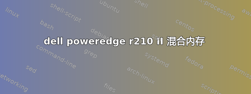 dell poweredge r210 II 混合内存