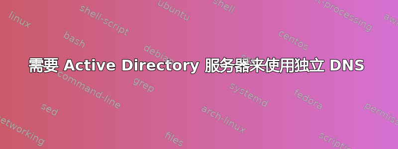 需要 Active Directory 服务器来使用独立 DNS