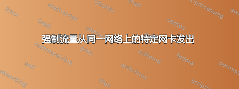 强制流量从同一网络上的特定网卡发出