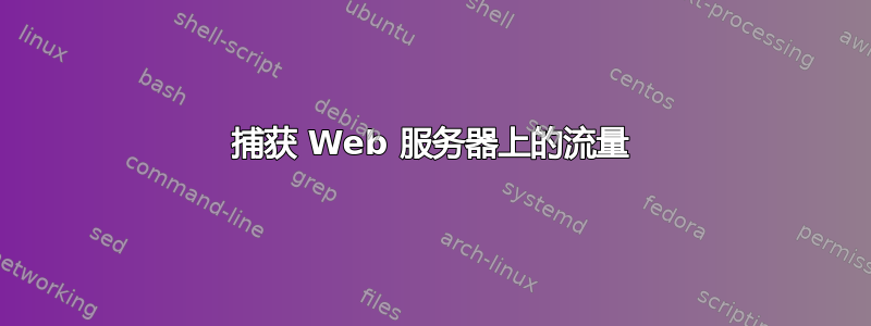 捕获 Web 服务器上的流量