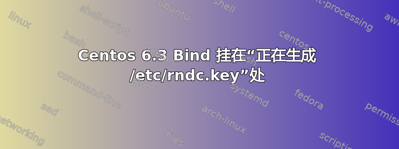 Centos 6.3 Bind 挂在“正在生成 /etc/rndc.key”处