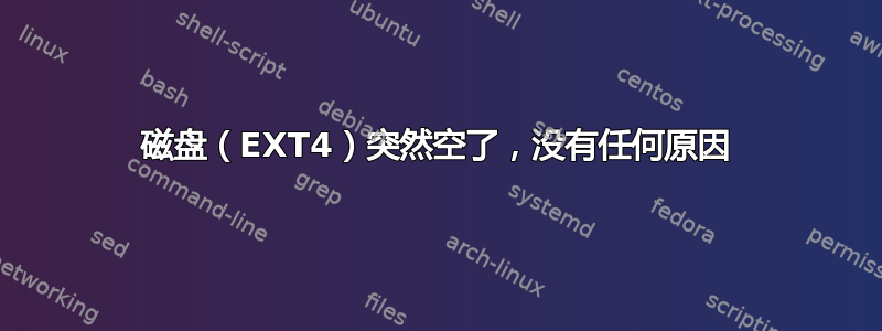 磁盘（EXT4）突然空了，没有任何原因