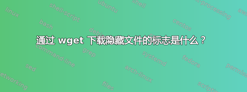 通过 wget 下载隐藏文件的标志是什么？