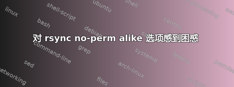 对 rsync no-perm alike 选项感到困惑