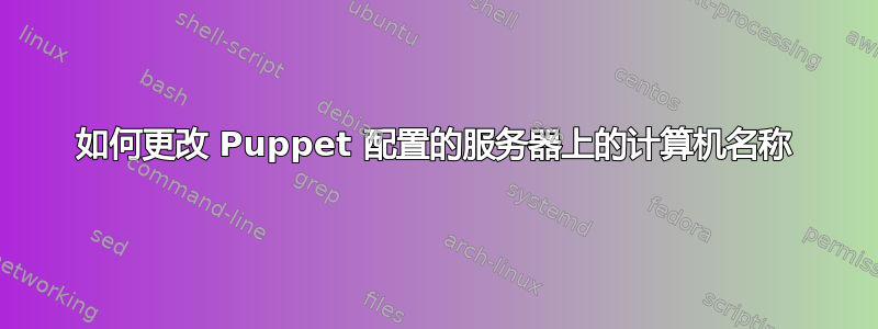 如何更改 Puppet 配置的服务器上的计算机名称