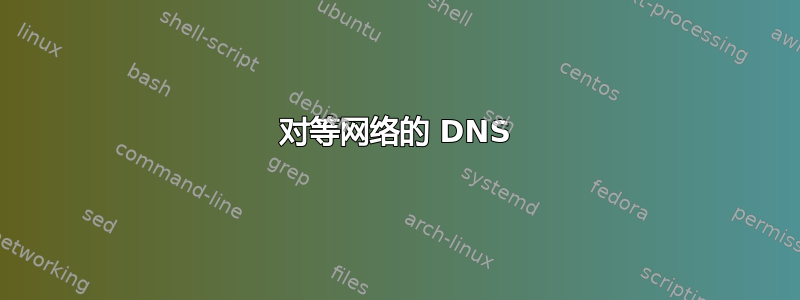 对等网络的 DNS