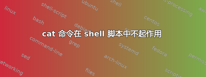 cat 命令在 shell 脚本中不起作用