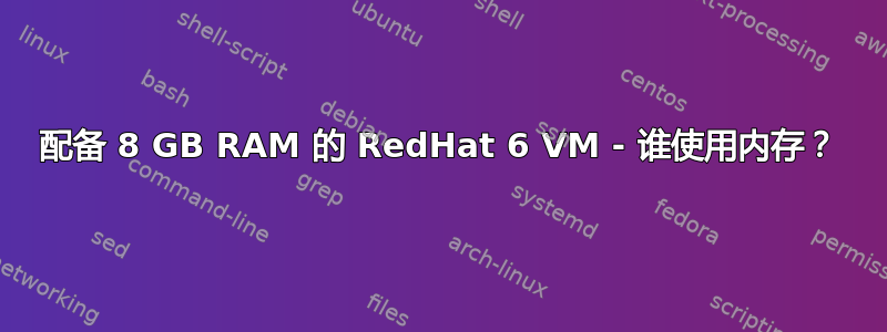 配备 8 GB RAM 的 RedHat 6 VM - 谁使用内存？