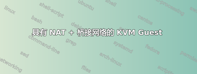 具有 NAT + 桥接网络的 KVM Guest