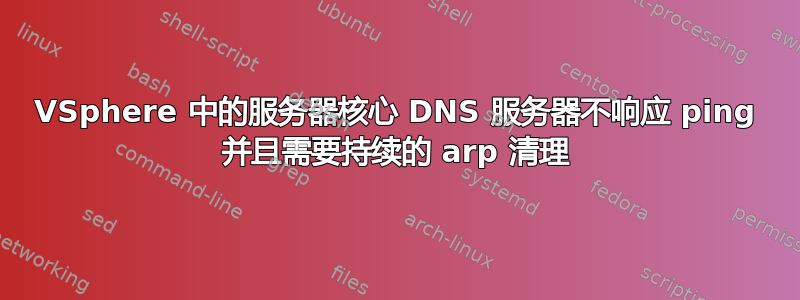 VSphere 中的服务器核心 DNS 服务器不响应 ping 并且需要持续的 arp 清理