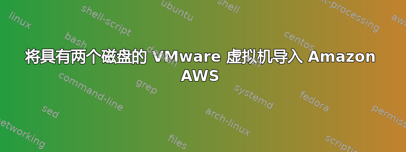 将具有两个磁盘的 VMware 虚拟机导入 Amazon AWS