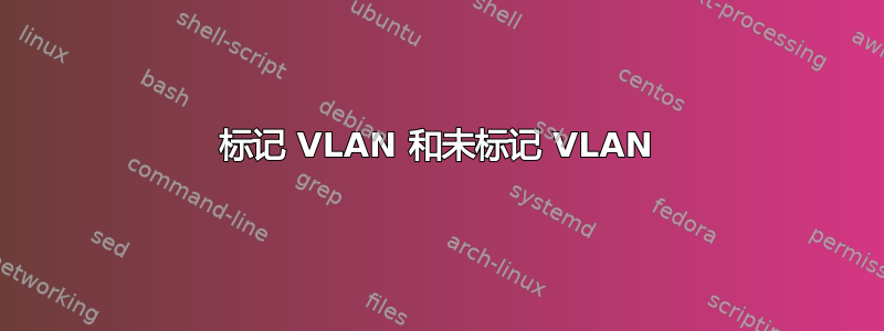 标记 VLAN 和未标记 VLAN