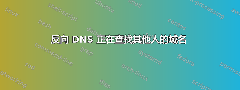 反向 DNS 正在查找其他人的域名