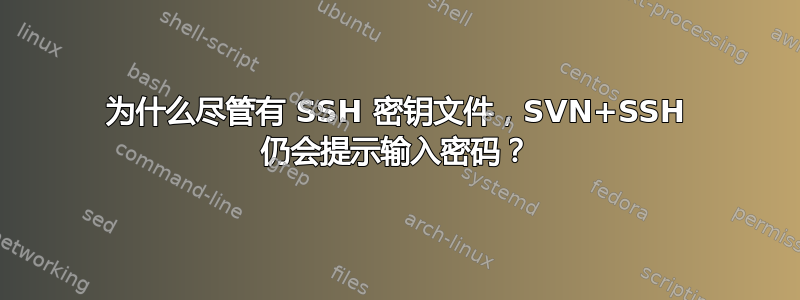 为什么尽管有 SSH 密钥文件，SVN+SSH 仍会提示输入密码？