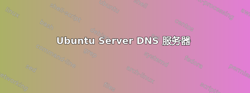 Ubuntu Server DNS 服务器