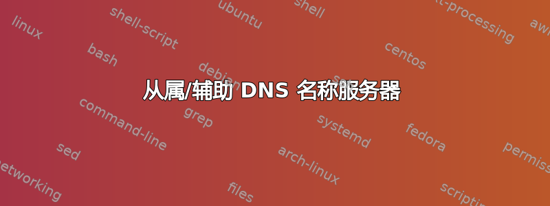 从属/辅助 DNS 名称服务器