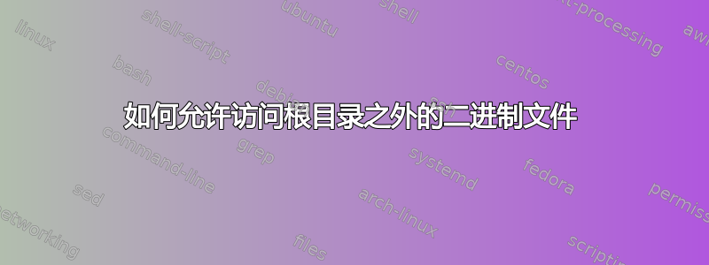 如何允许访问根目录之外的二进制文件