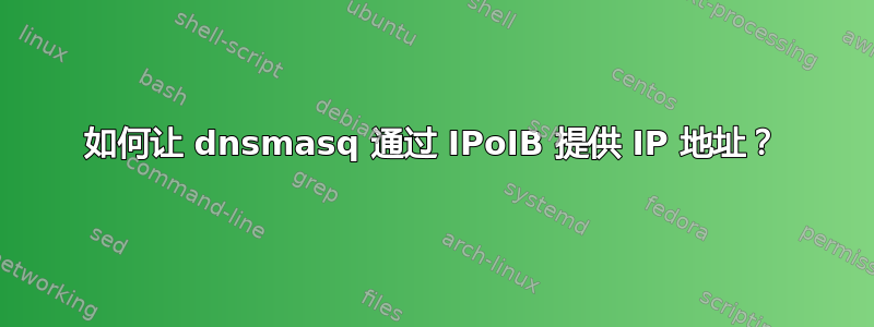 如何让 dnsmasq 通过 IPoIB 提供 IP 地址？